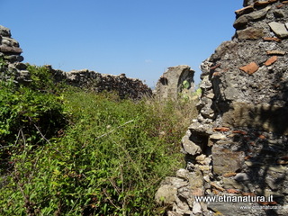 n Michele Forza Agro-13-08-2020 14